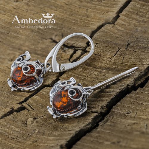 3_3118ade001_colorbg_clever_owl_earrings0